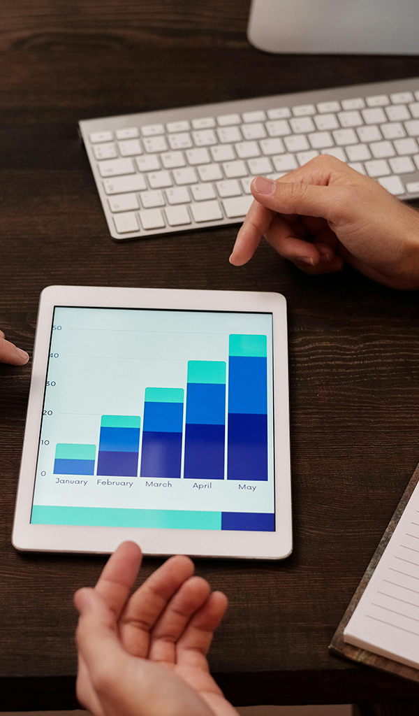 financial strategy and profitability planning